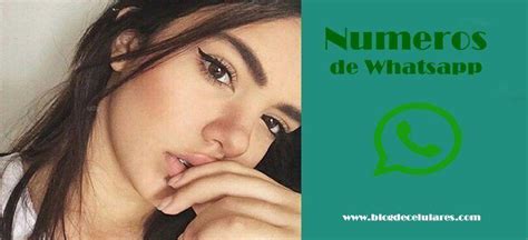 numeros de whatsapp de chicas|Contactos mujeres solteras gratis 